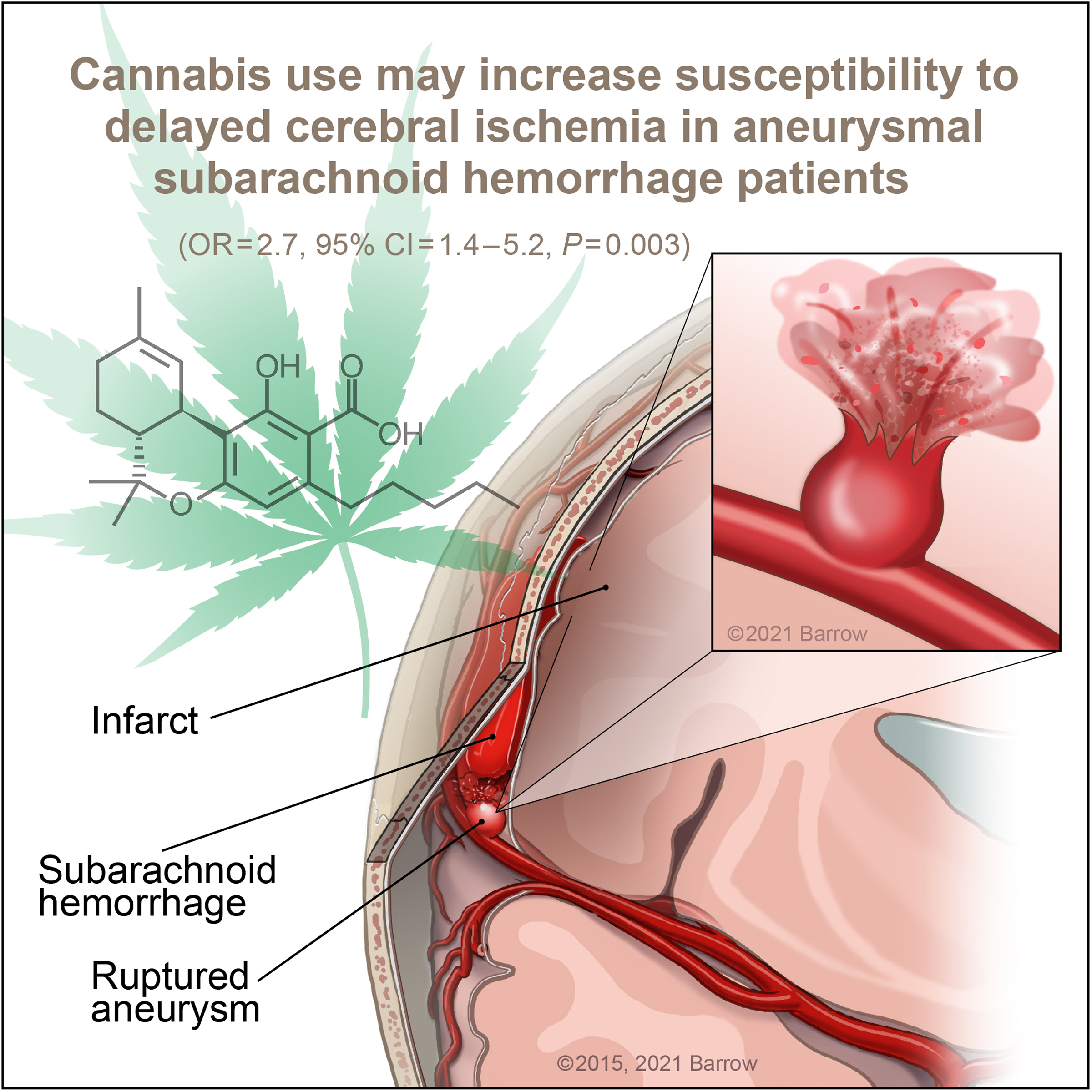 visual abstract