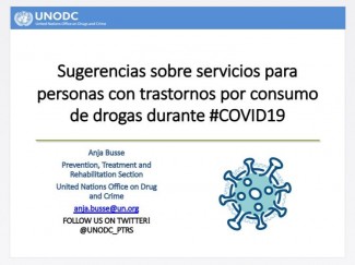 Diapositiva presentada en el webinar